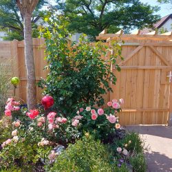 Gartenzaun Holz im Naturgarten
