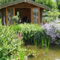 Gartencoaching: Ästhetische und gestalterische Ansprüche zur Schaffung natürlicher Lebensräume für Fauna und Flora